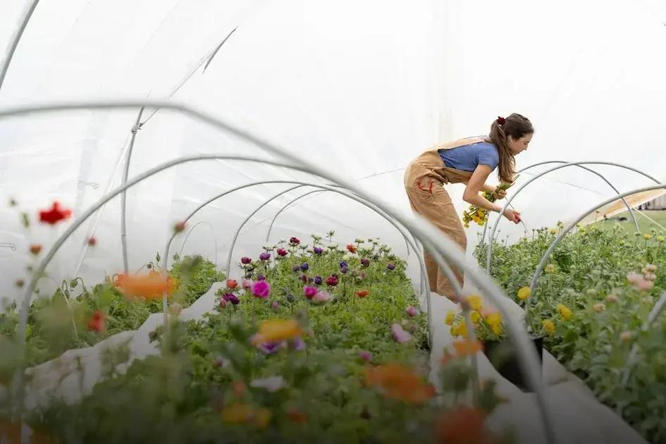 Assess Watering Techniques Assess Watering Techniques