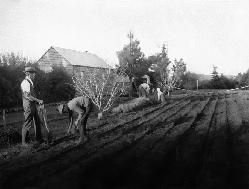 Choosing the Right Fertilizer Choosing the Right Fertilizer