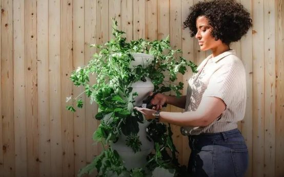 Creating a Relaxing Garden Retreat: Your Oasis at Home