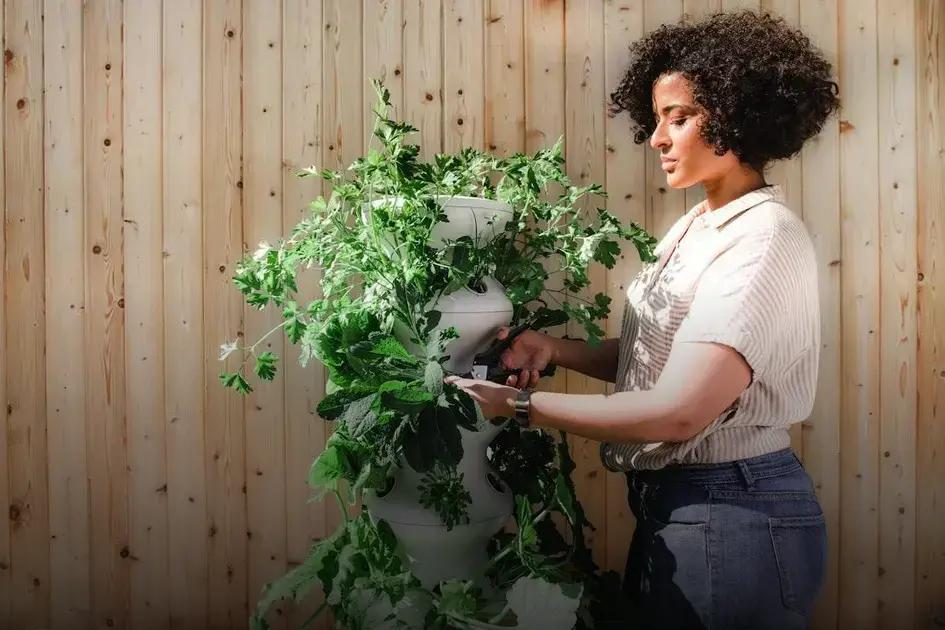 Creating a Relaxing Garden Retreat: Your Oasis at Home
