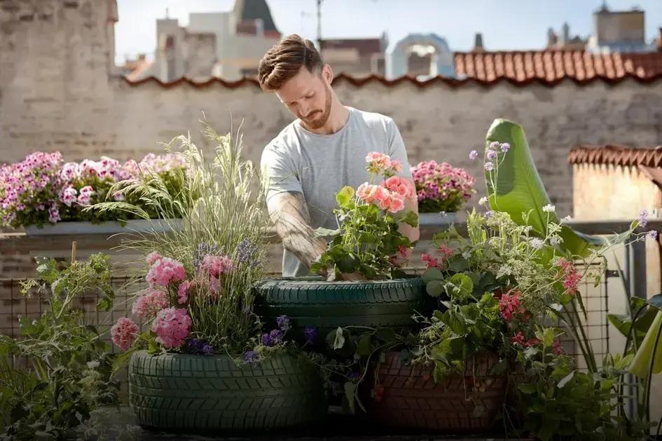 Evaluate Soil Quality Evaluate Soil Quality