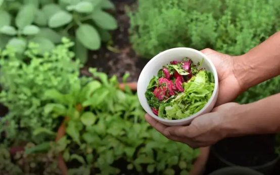 Hosting a Garden Party: Decorate Naturally with Ease