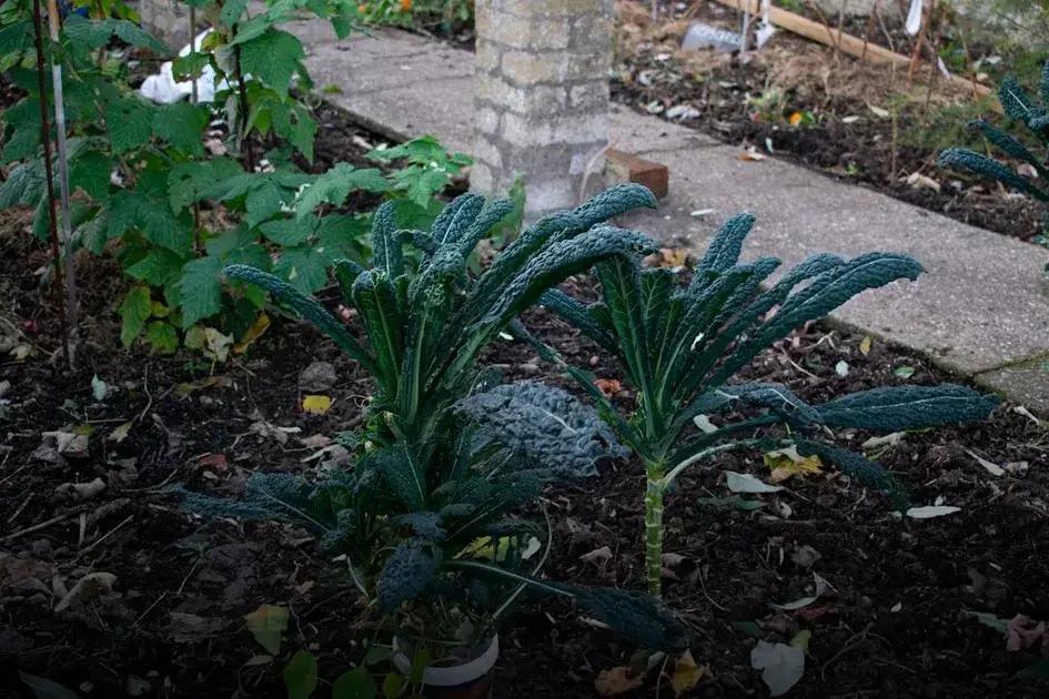 Incorporating Water Features Incorporating Water Features
