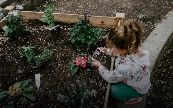 Seasonal Gardening: Prepare Your Winter Garden Now