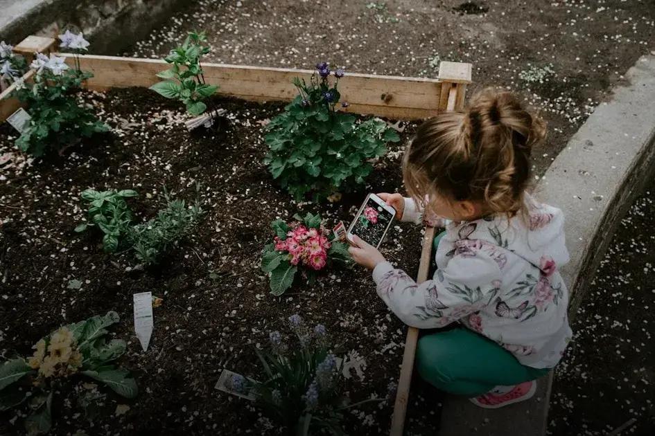 Seasonal Gardening: Prepare Your Winter Garden Now