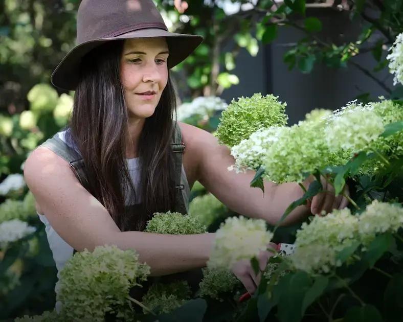 Utilizing Vertical Gardens Effectively Utilizing Vertical Gardens Effectively